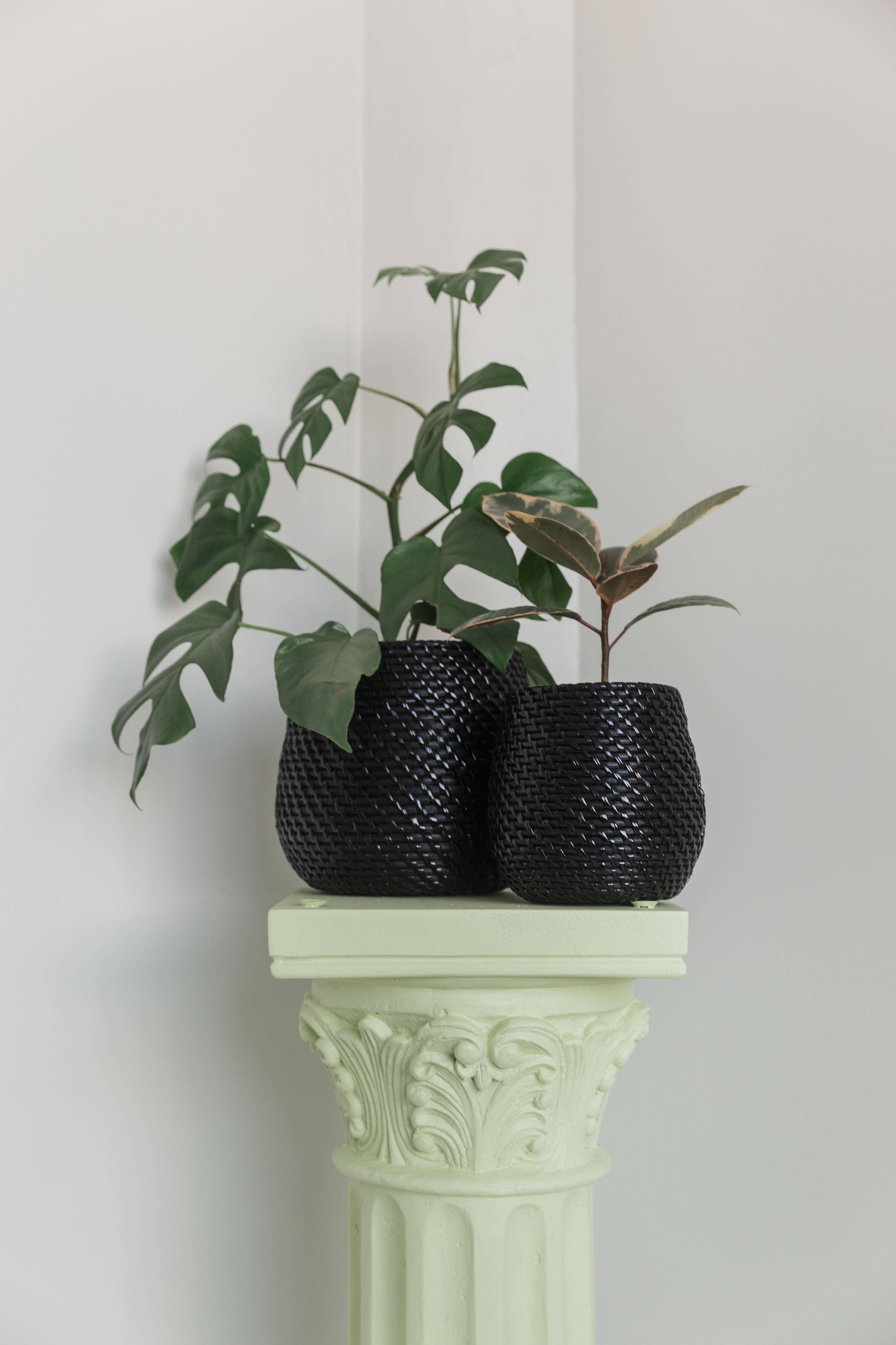 Viridi - Wholesale Plant Pot - Olla Rattan Planter Set of 25