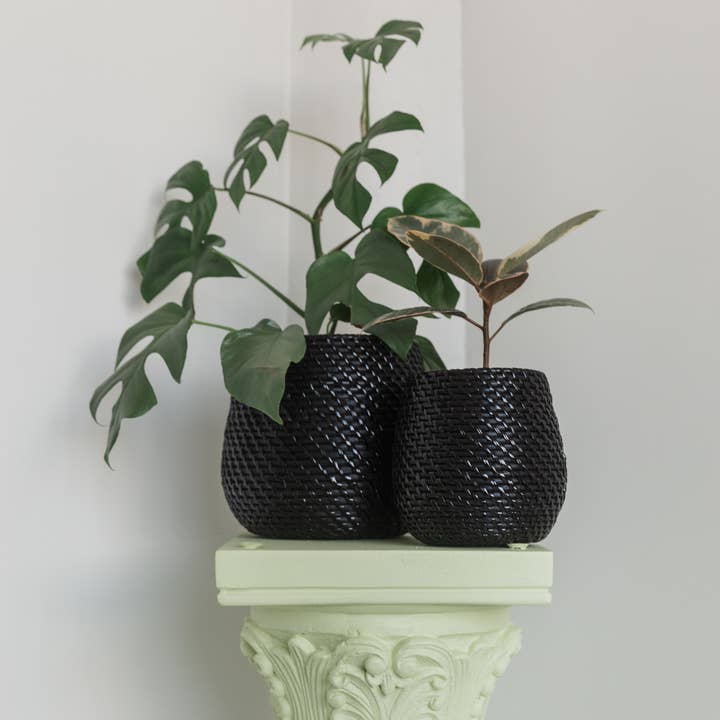 Viridi - Wholesale Plant Pot - Olla Rattan Planter Set of 25