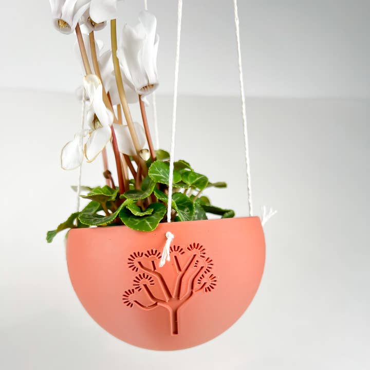Joshua Tree Hanging Planter, 3D Printed Pots, Hanging Pot and other Purchase Wholesale plastic hanging pots. Free Returns & Net 60 Terms on Faire trending on Faire.