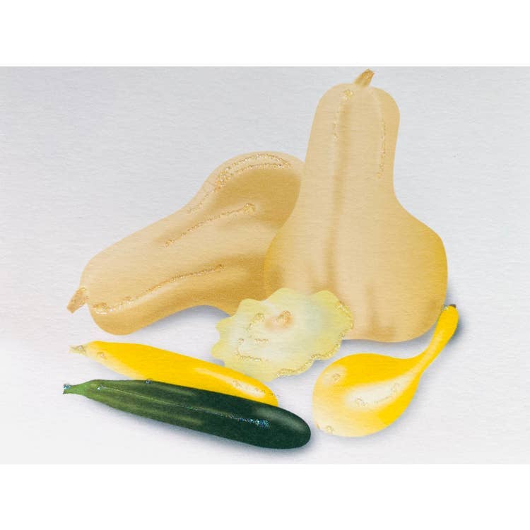 Studio Daedre - Wholesale Everyday Greeting Card - Squash - Loose Cards0