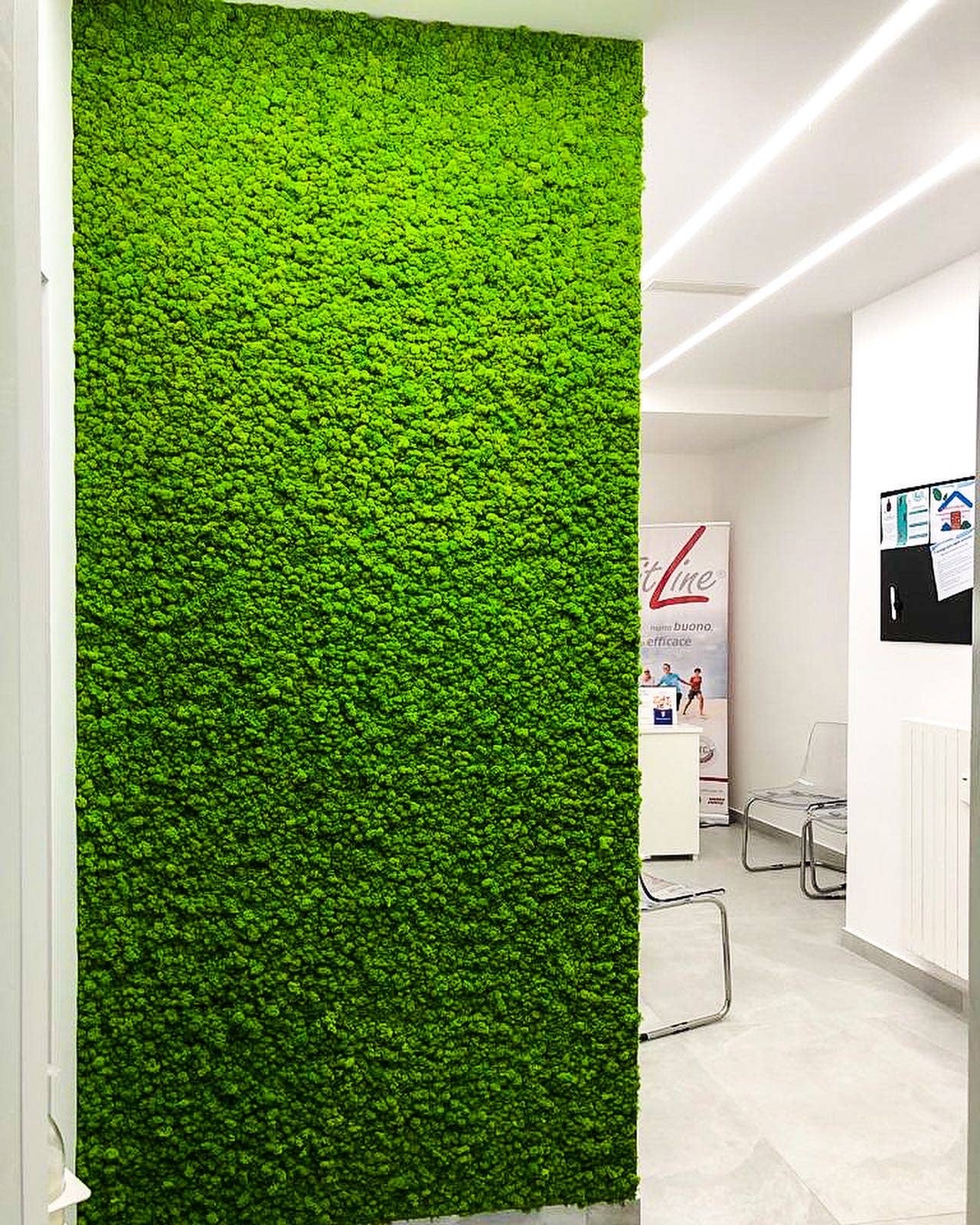 Mossroma - Wholesale Wall Accent - Flexy Moss2
