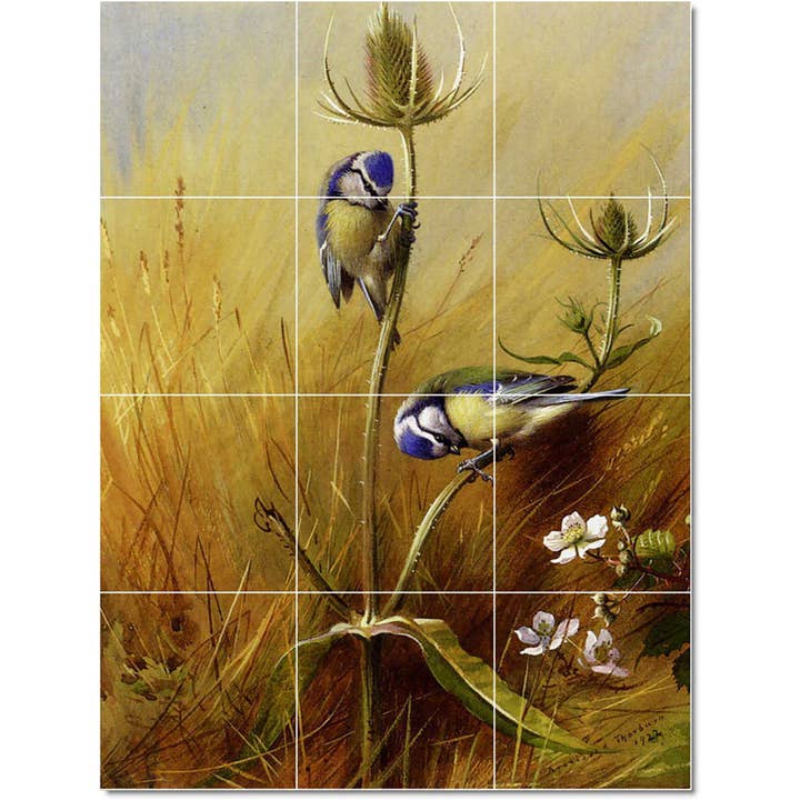 Birds Ceramic Tile Mural PT23194 for wholesale by Picture-Tiles.com