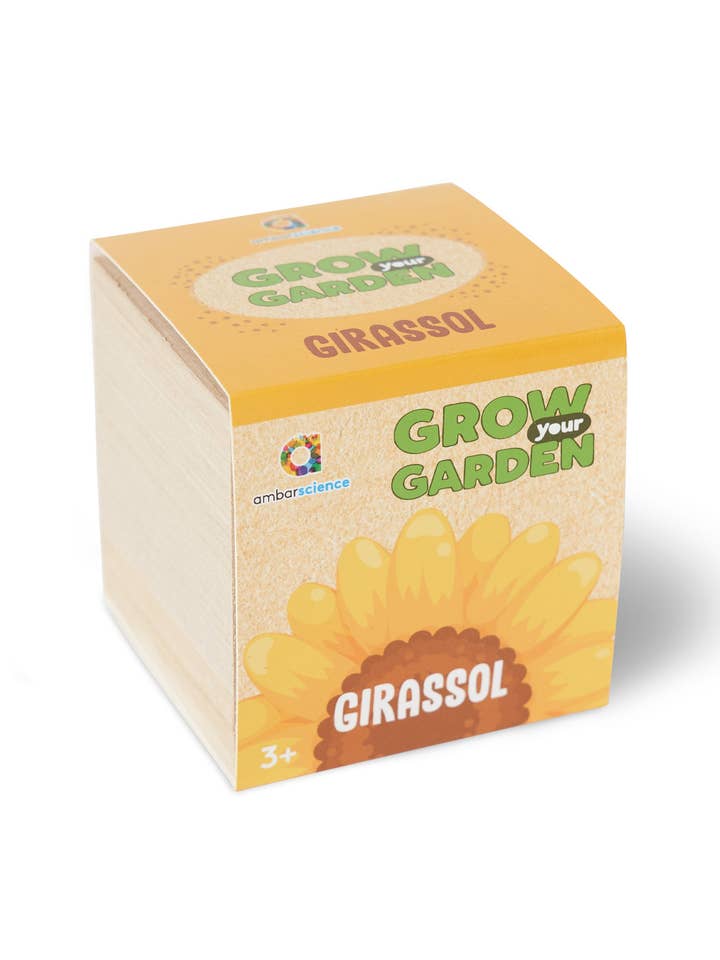 Coltiva il tuo giardino - Girasoli (3+) per la vendita all'ingrosso da parte di ambarscience