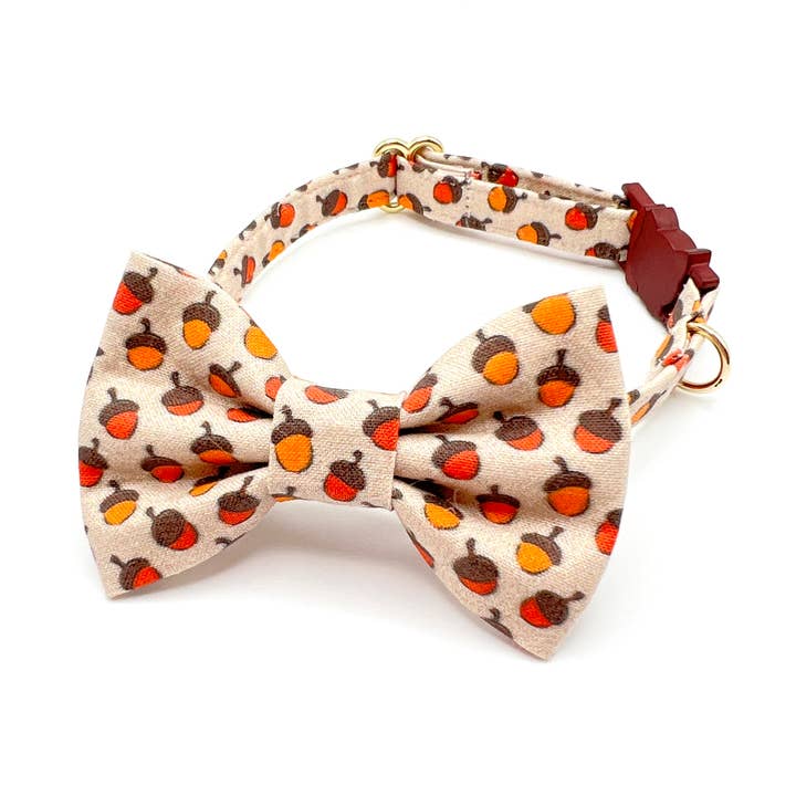 Gravata borboleta de gato bolotas outono com gola por atacado de Whiskers Crafts