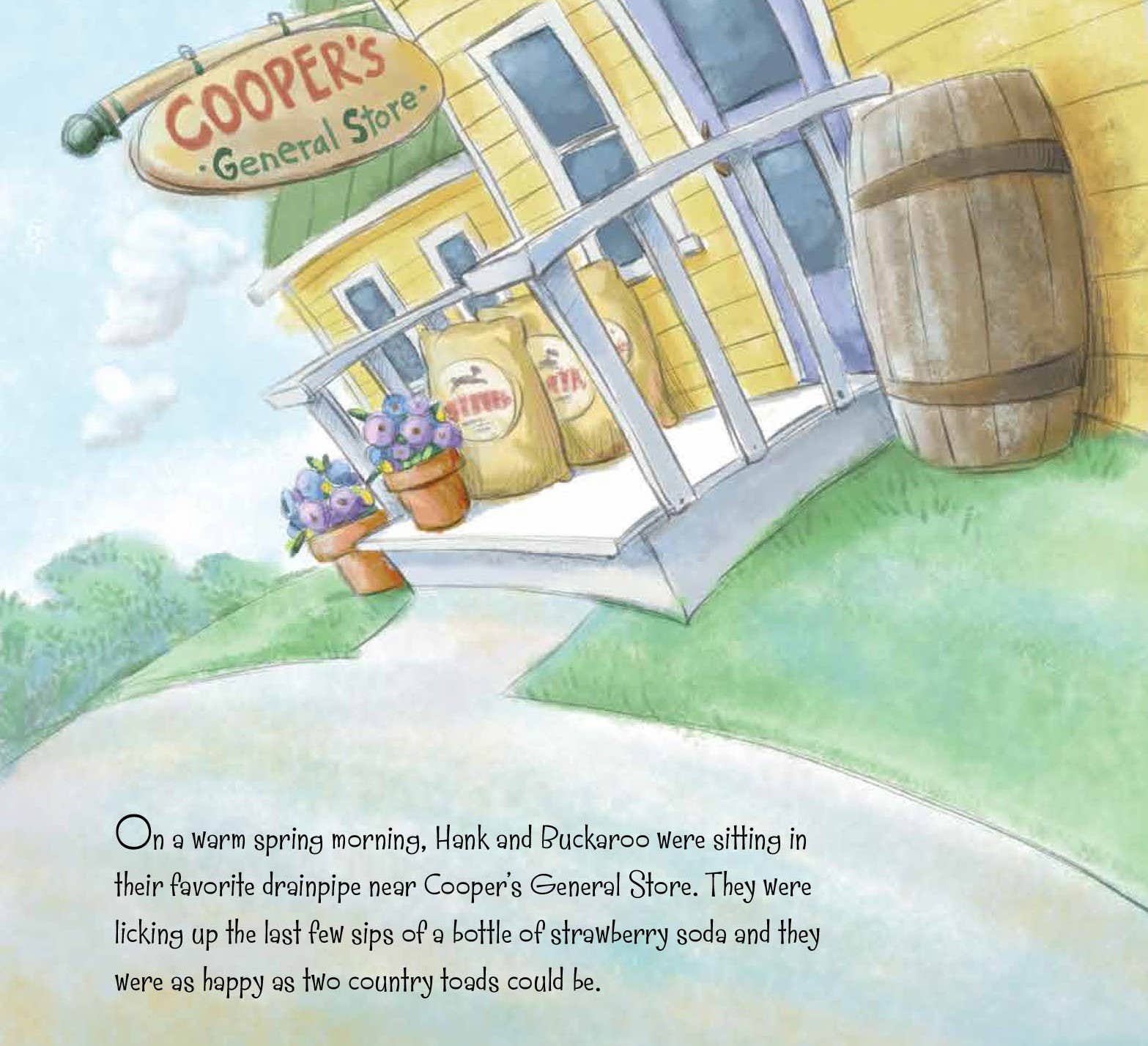Sleeping Bear Press - Wholesale Preschool Book (3-5) - Back Roads, Country Toads Picture Book1
