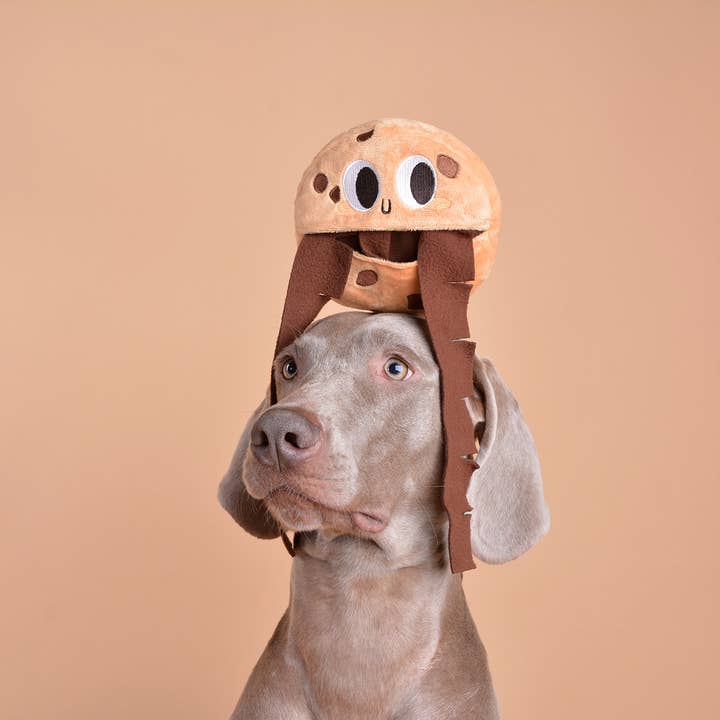 CHEWFFON - Wholesale Pet plush toy – Dog - CHEWFFON Holiday Cookie Snuffle Soft Puzzle Treat Dog Toy3