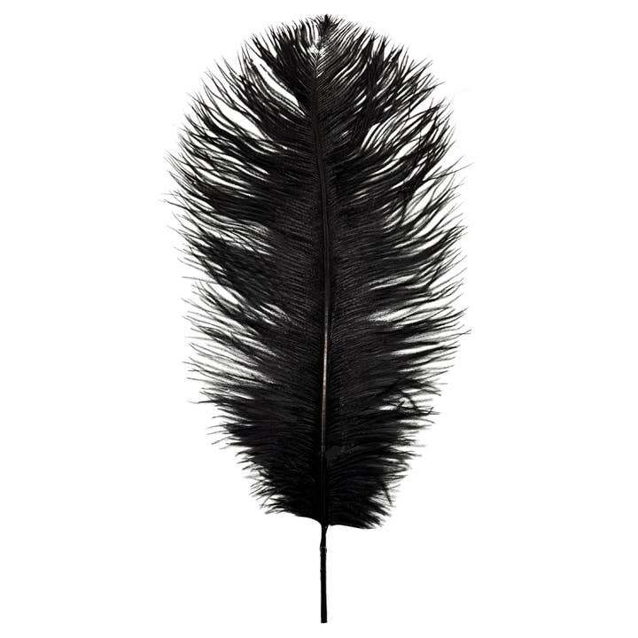 Black Ostrich Feather Plume 18" to 20" (Each) for wholesale by Plush Appeal LLC
