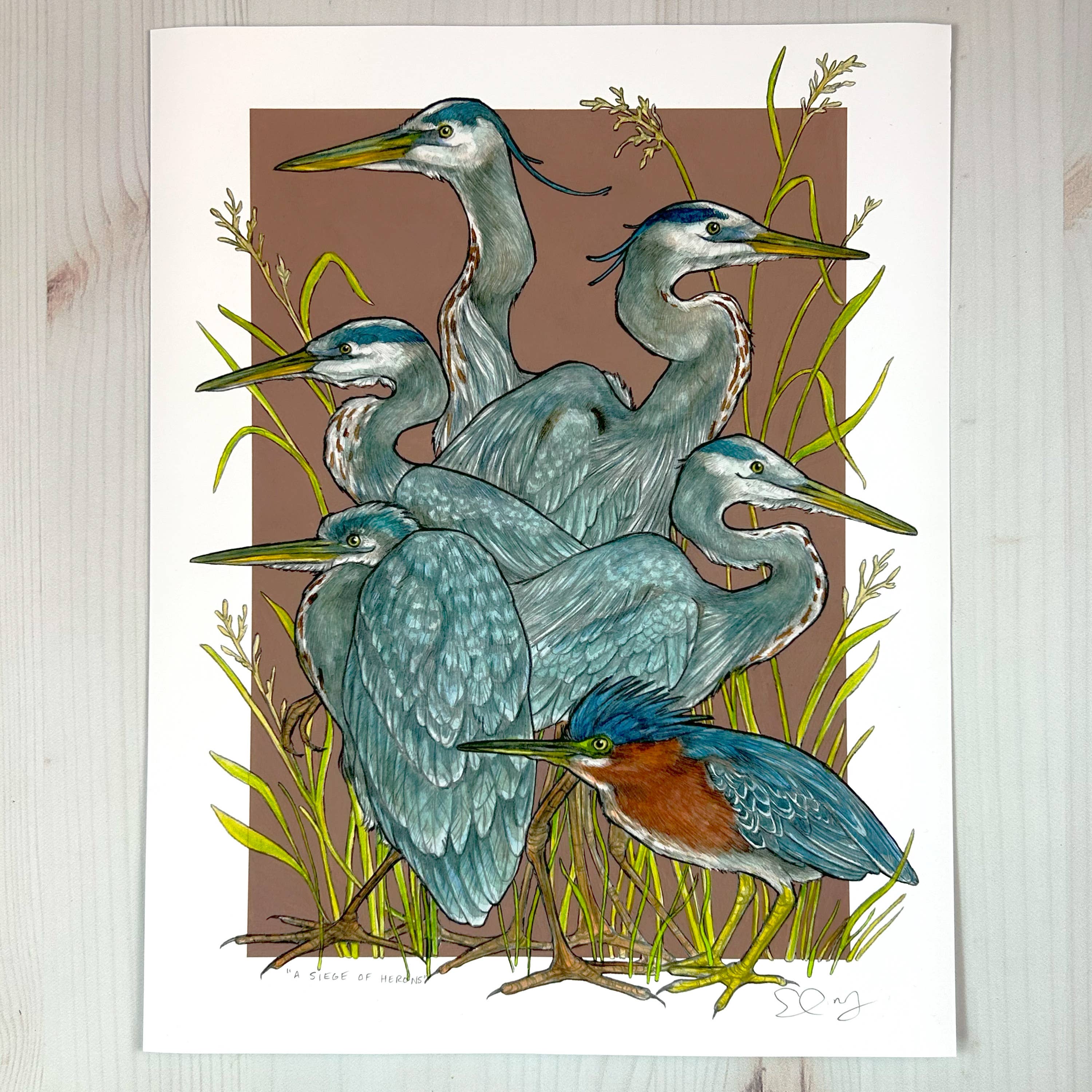 Sarah Draws Things - Wholesale Art Print - A Siege of Herons - Archival Print 1