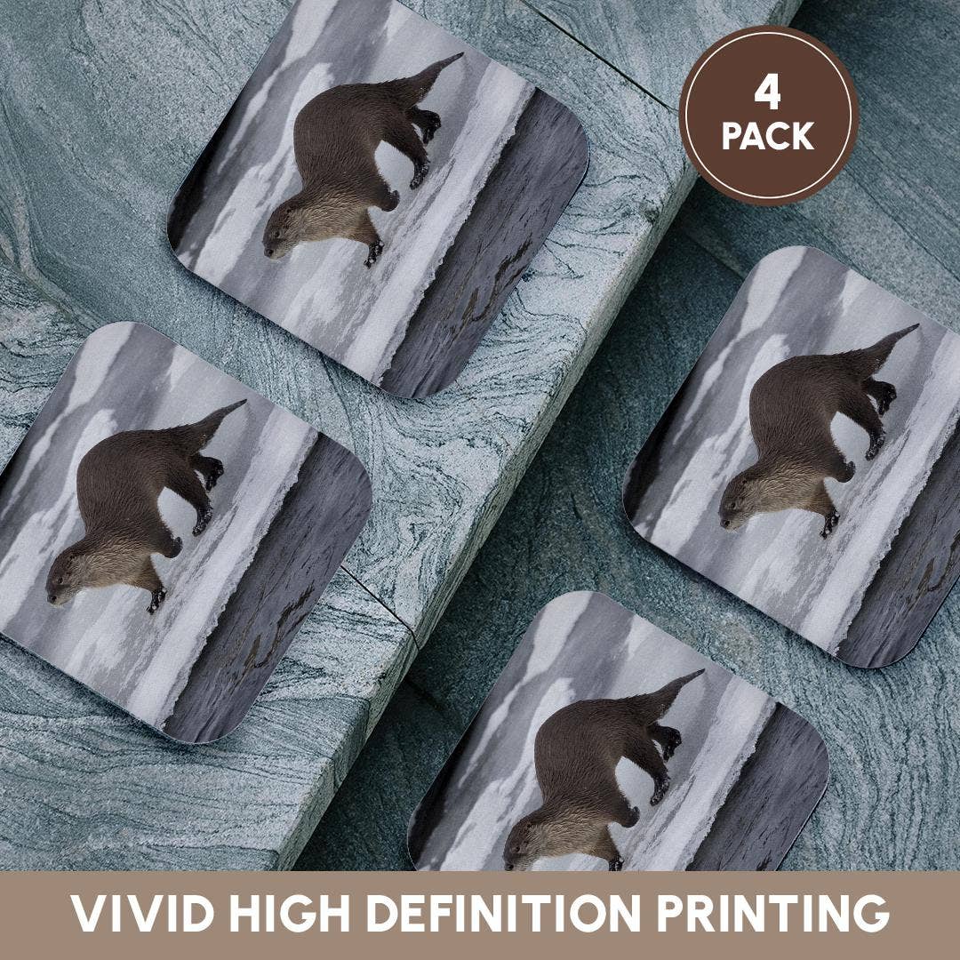 3dRose - Wholesale Coasters - 3dRose, River otter on ice, Coaster12