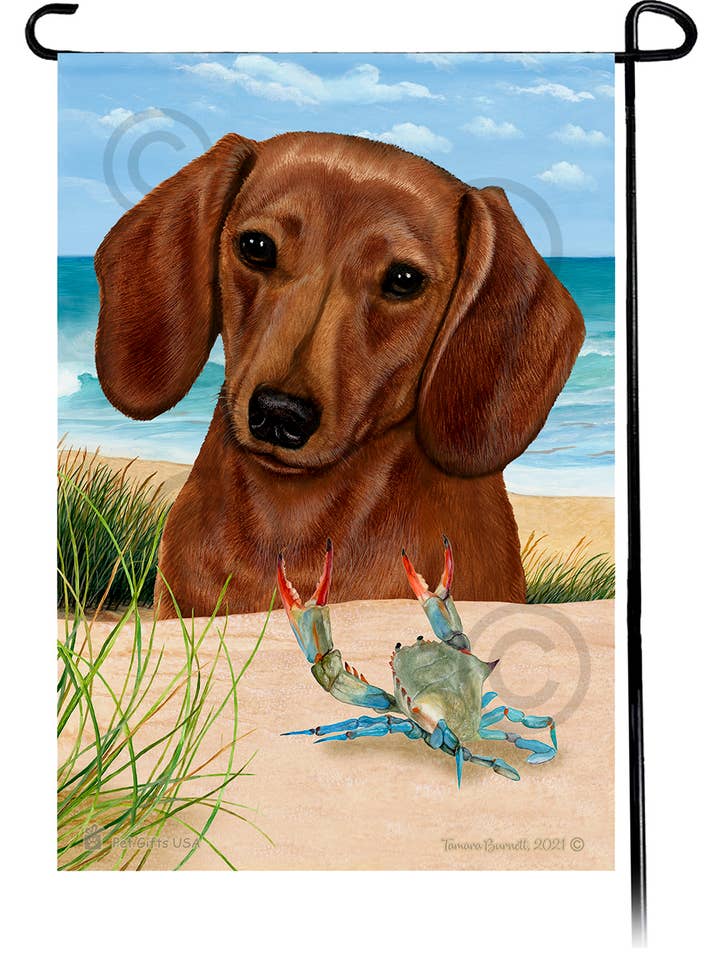 Drapeau de jardin de plage d'été rouge teckel à poil court pour la vente par Pet Gifts USA, LLC