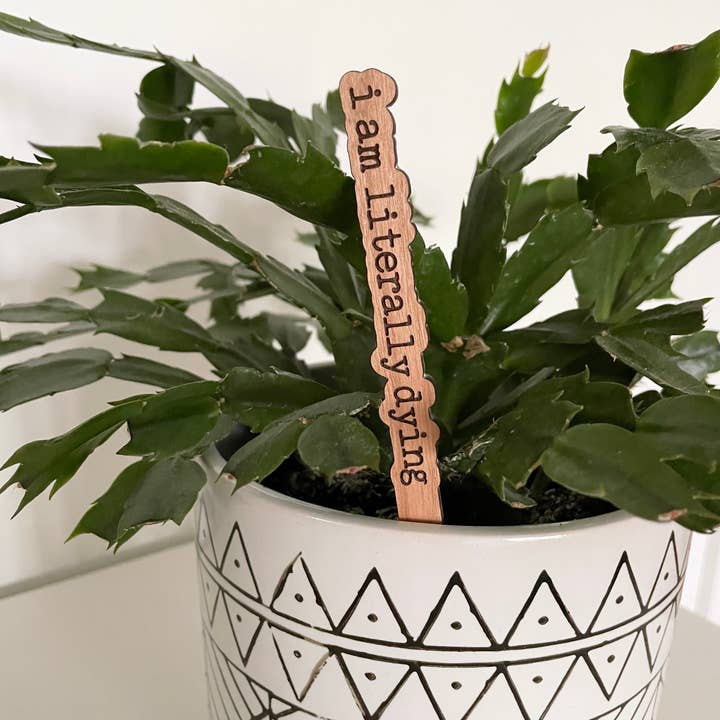 Dogwood and Dust - Wholesale Garden/Lawn Stake - Punny Plant Stakes/ Funny Plant Markers