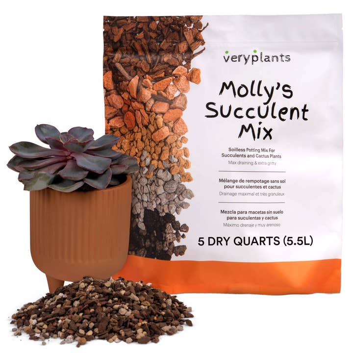 Veryplants Inc - Wholesale Planting/Potting Soil - Molly's Succulent Mix - Premium Soilless Gritty Mix- 5 Quart