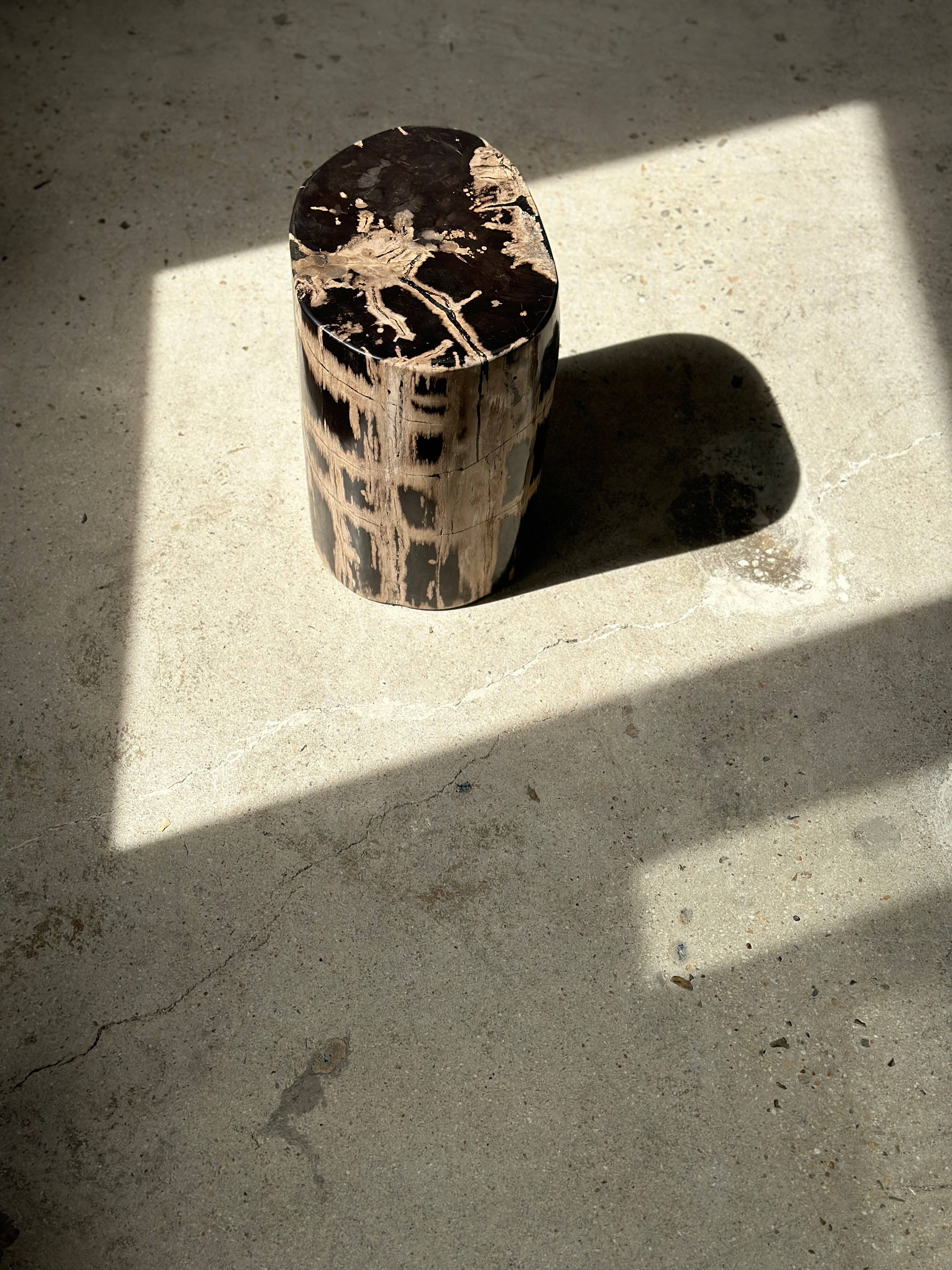 Office Objets - Vente Tables d'appoint - Table d'appoint en bois pétrifié37