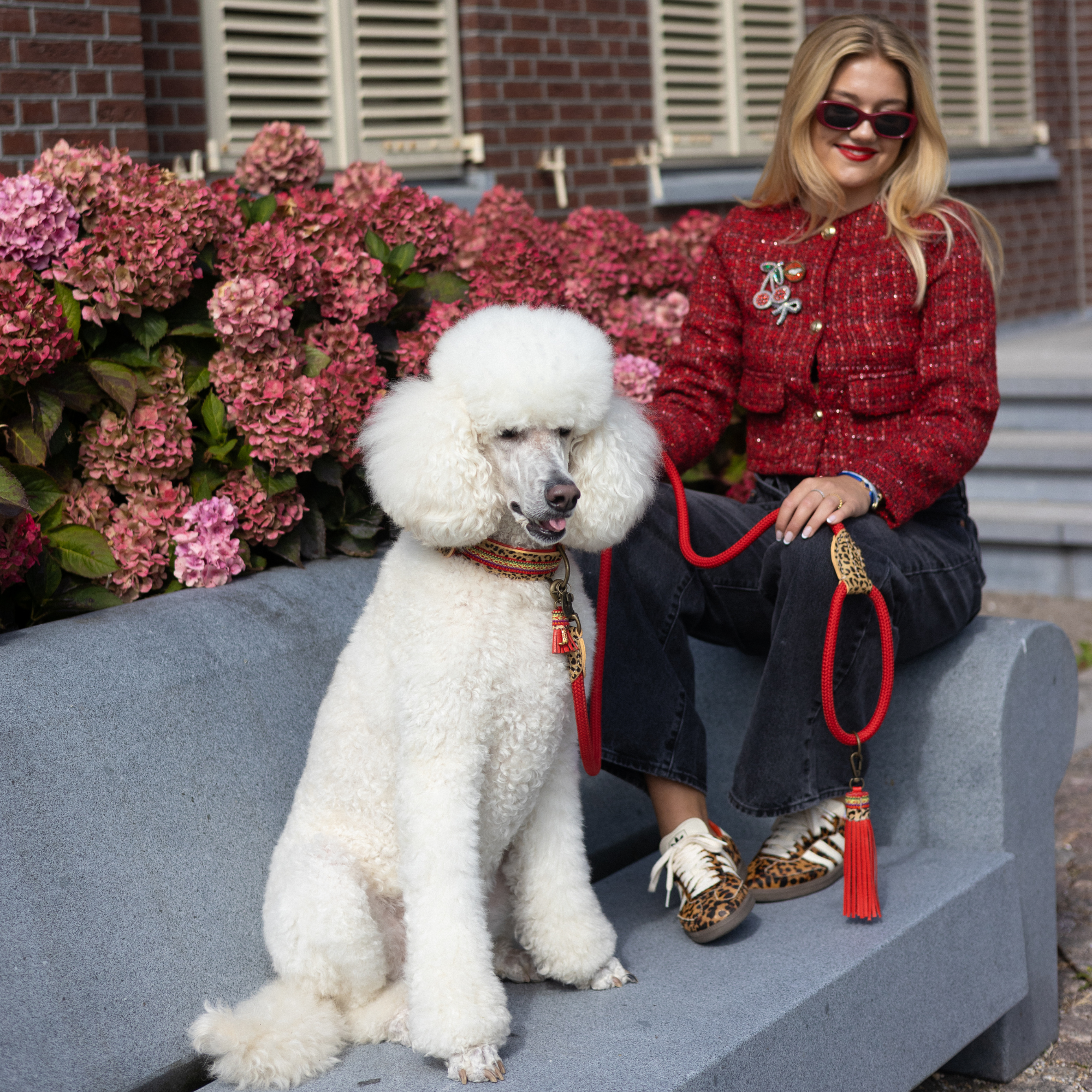 Dog with a Mission - Wholesale Pet Collar - Dog - Gypsy Necklace6