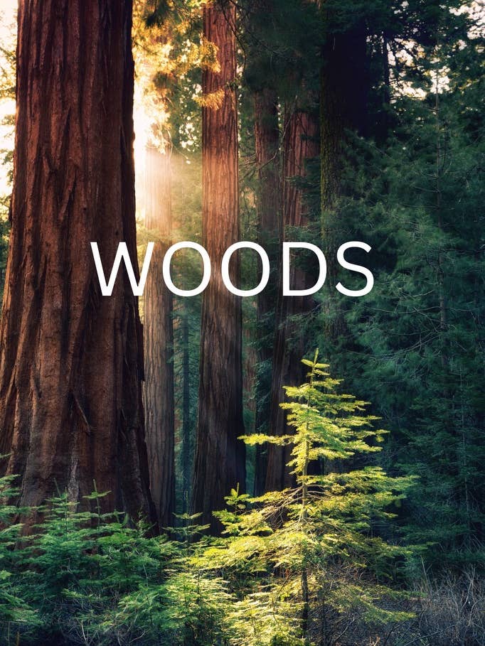 Soy Wax Melt - Woods for wholesale by Carmans Candles