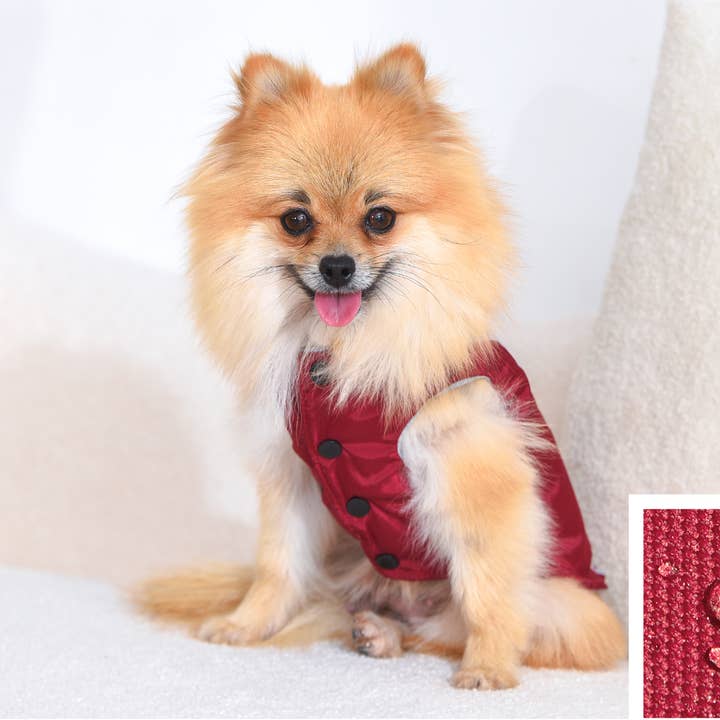 Amomi - Wholesale Pet Sweater - Dog - PET SWEATSHIRT 4 COLORS4