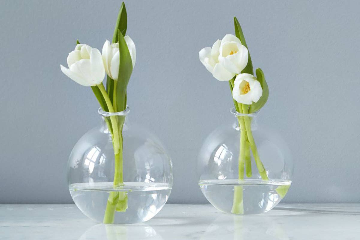 etúHOME - Wholesale Vase - Glass Sphere Bud Vase, Clear3