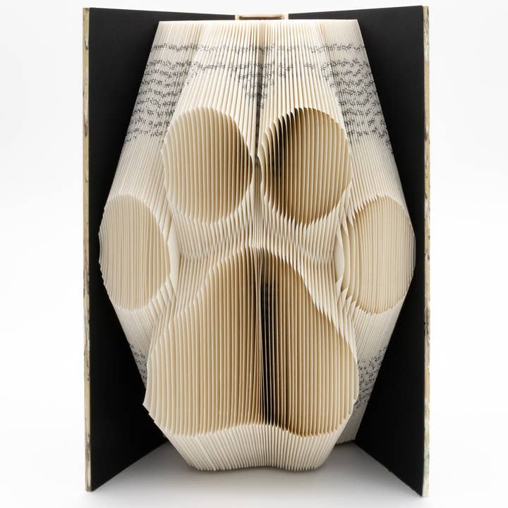 Sculpted Books - Vente Sculpture - Sculpture de patte (terminée)