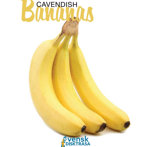 Kit Carson Accessories - Wholesale Dishcloth - Cavendish Banana Swedish Dishcloth