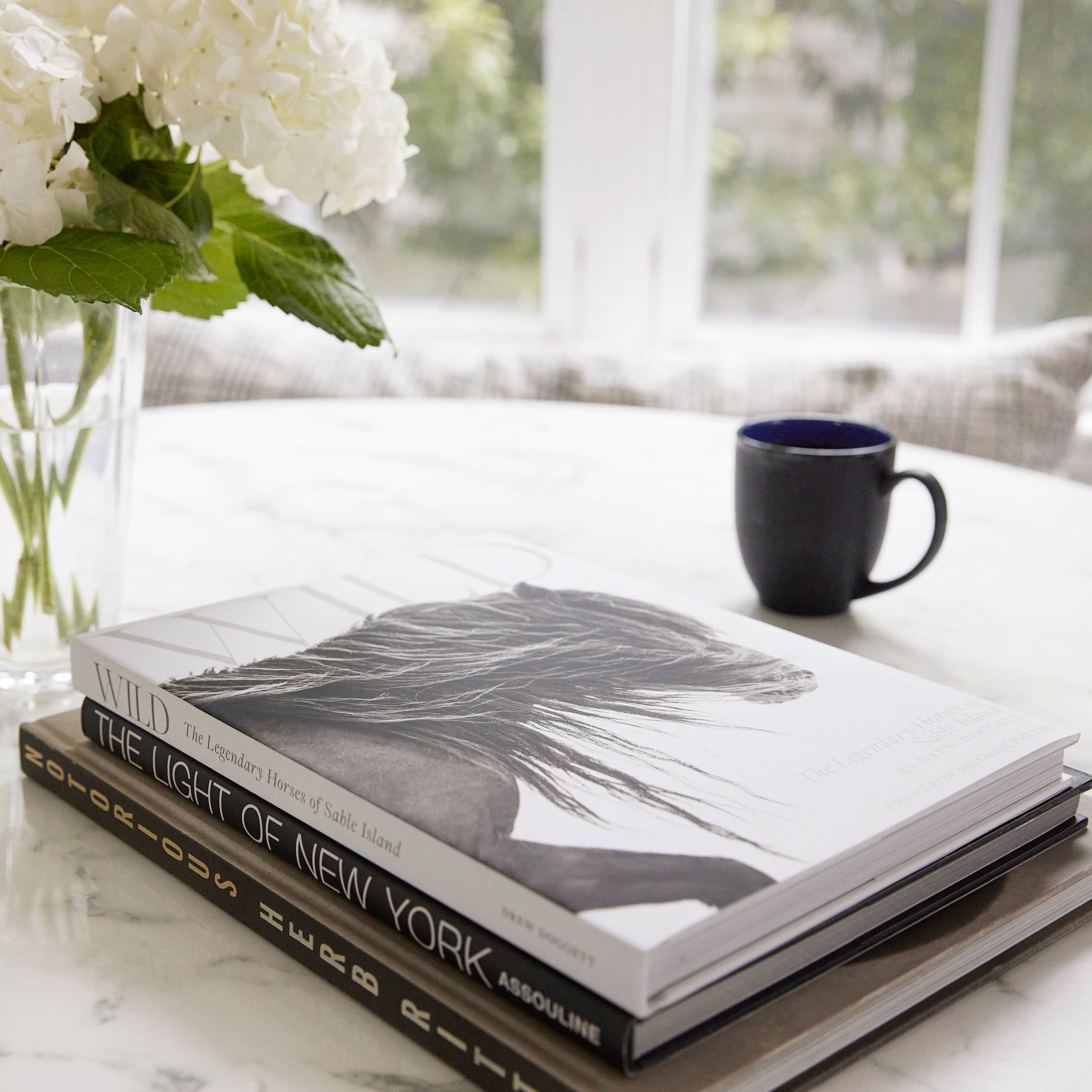 Drew Doggett Photography - Vendita all'ingrosso Display Book - Wild: I leggendari cavalli di Sable Island7