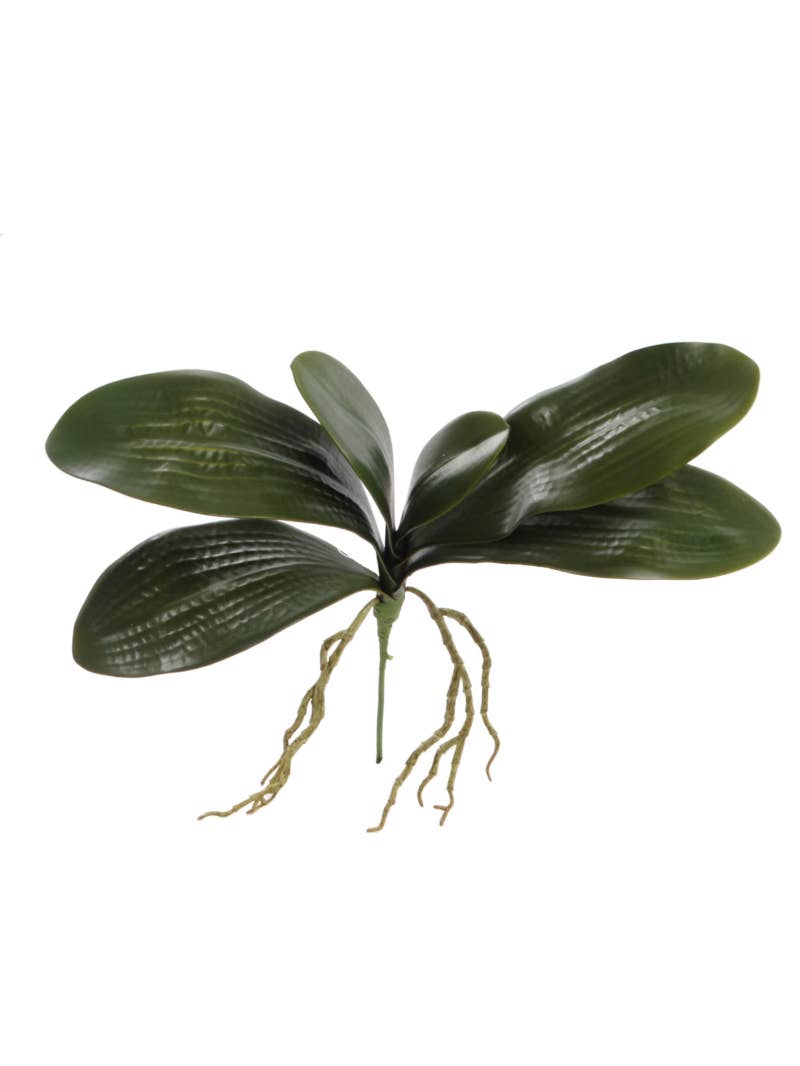 Larksilk - Wholesale Kunstplant - 16" Phalaenopsis-bladcluster met een breedte van 16"0