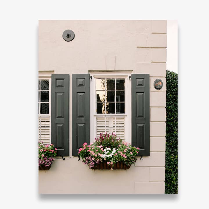 Window Box Wednesday | Charleston Photography Print for wholesale by A Charleston Local