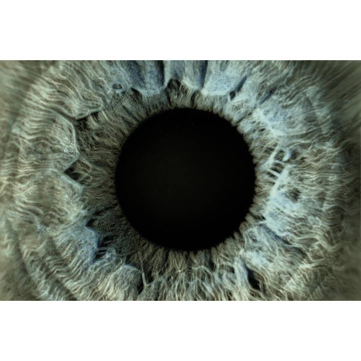 Arte dello studio medico - Macro Iris per la vendita all'ingrosso da parte di Queence