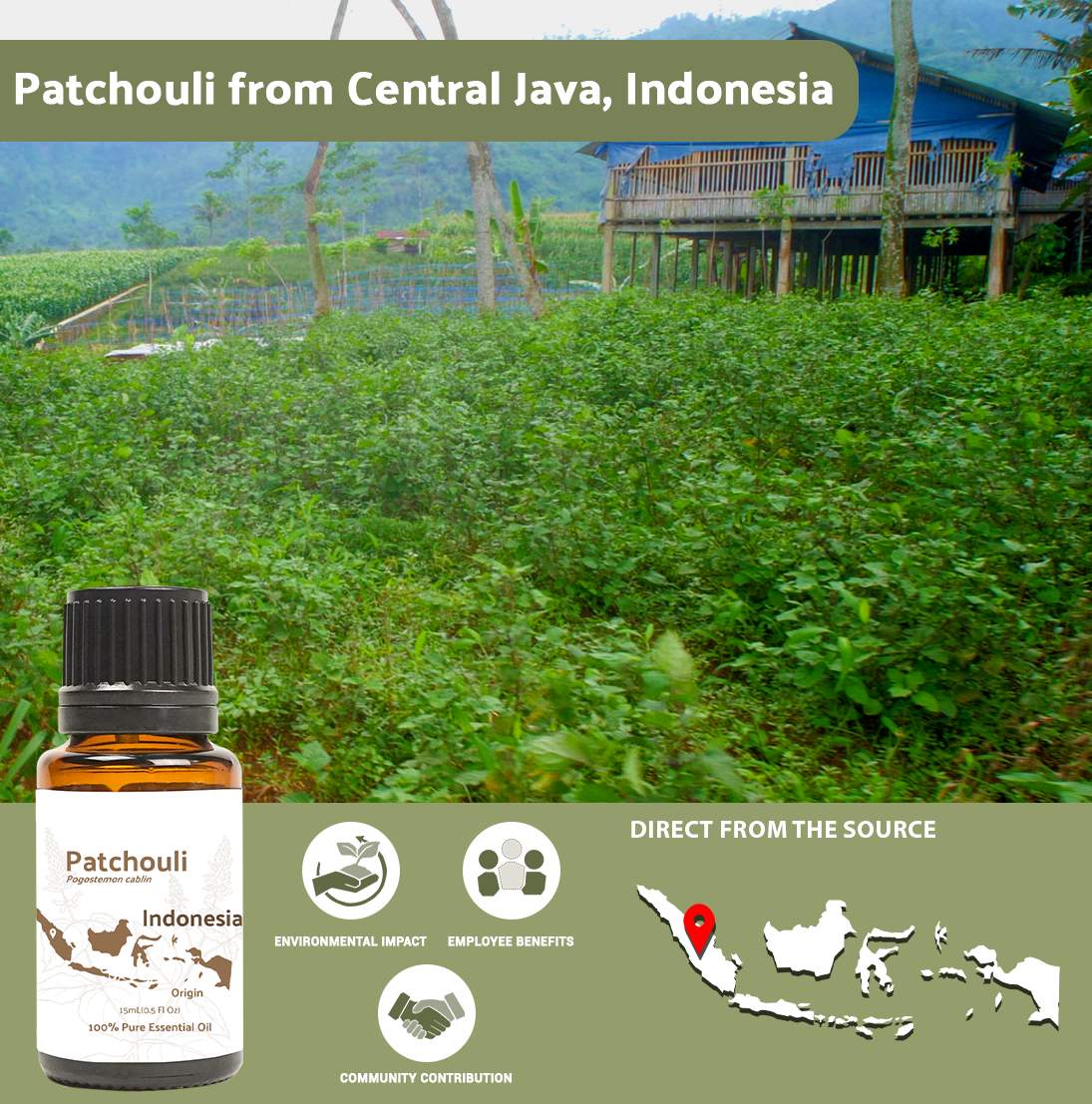 Nature Packaged - Wholesale Essential Oil - Patchouli Essential Oil - 100% Pure - Farm-Direct Sourcing1