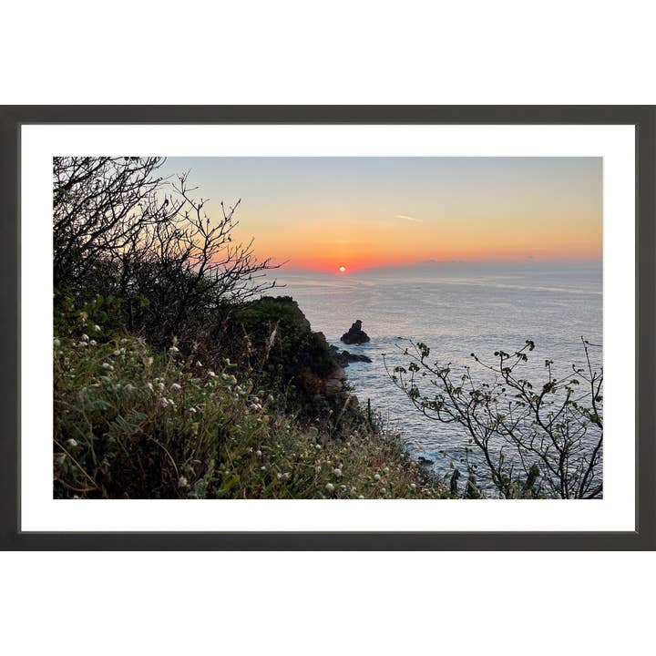 Verdanza for engroshandel hos Oceanafy