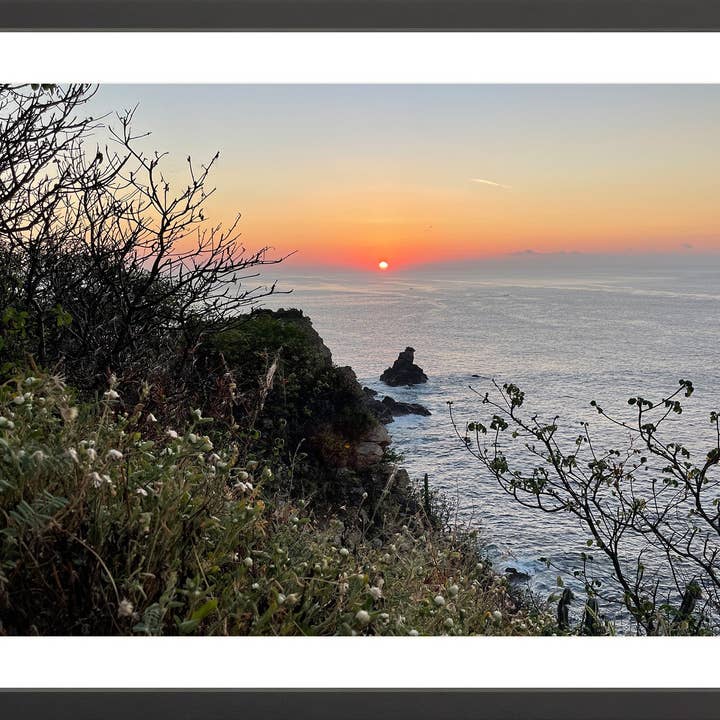 Verdanza per la vendita all'ingrosso da parte di Oceanafy