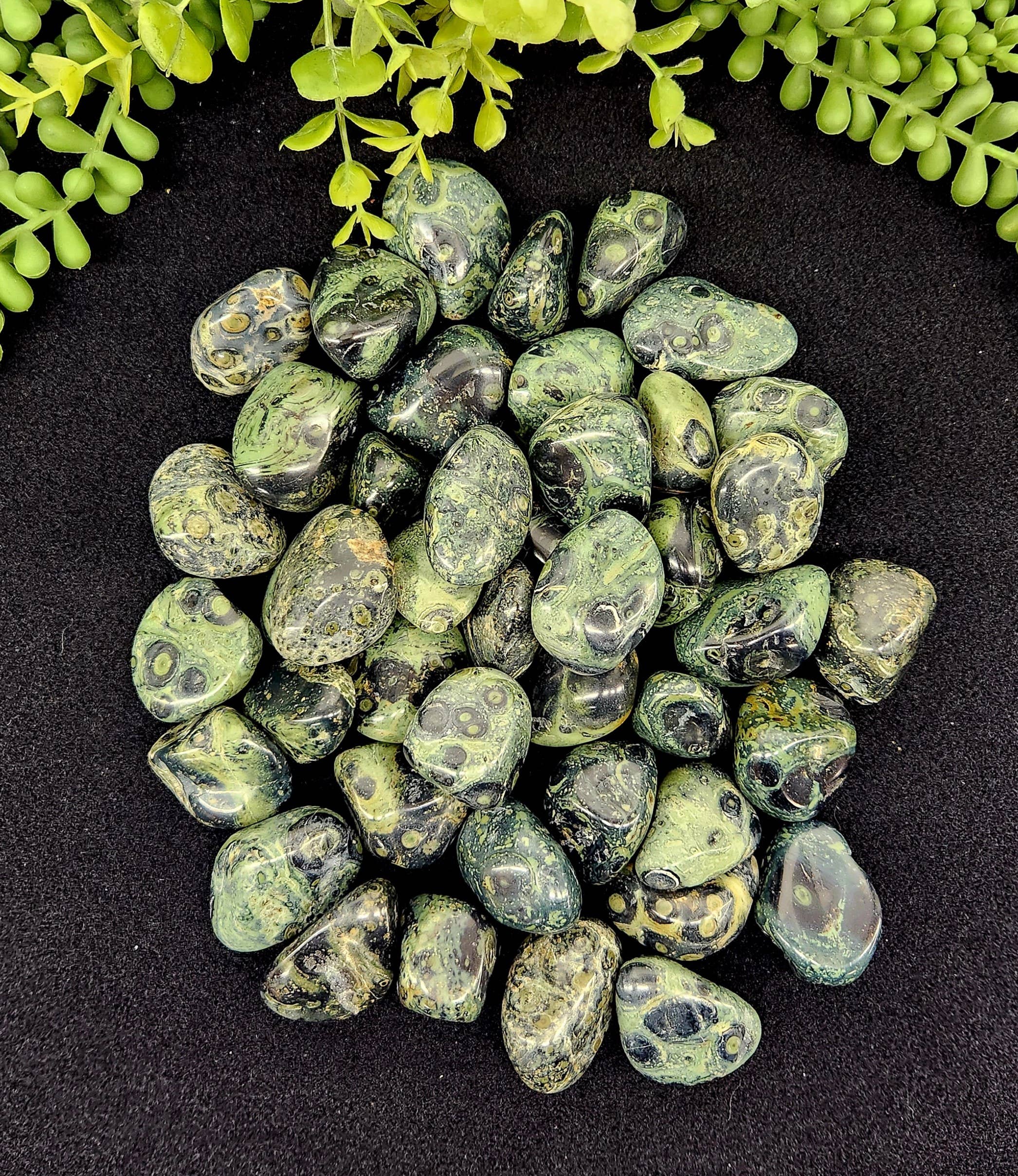 Meraki Gemstones - Wholesale Spiritual Stone/Crystal - Kambaba Jasper (1kg/2.2 lbs.) Tumbled Approx. 30-35mm1