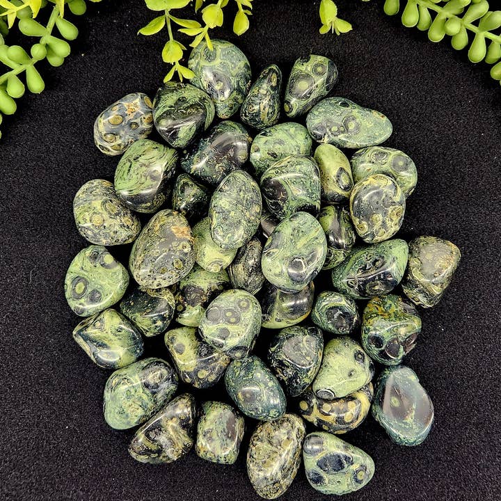 Meraki Gemstones - Wholesale Spiritual Stone/Crystal - Kambaba Jasper (1kg/2.2 lbs.) Tumbled Approx. 30-35mm1