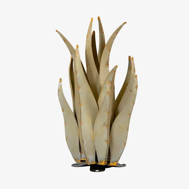 Emperor Agave and other Purchase Wholesale agave. Free Returns & Net 60 Terms on Faire trending on Faire.