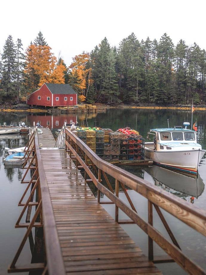 Maine pour la vente par 1901 Fragrance