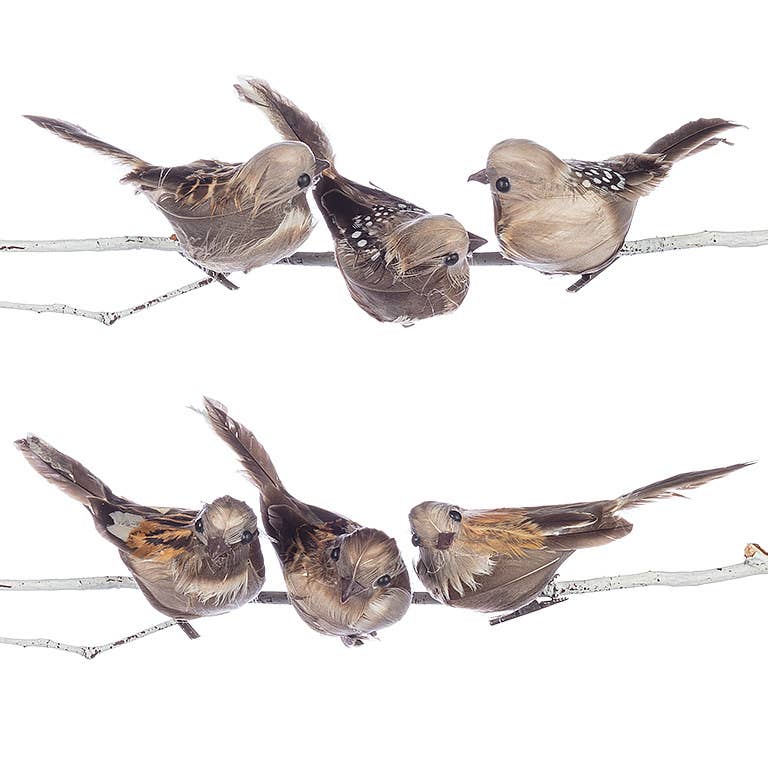 Abbott - Wholesale Ornament - Bird W/Pointed Tail Clip-6 Assorted-4.5"L-5750