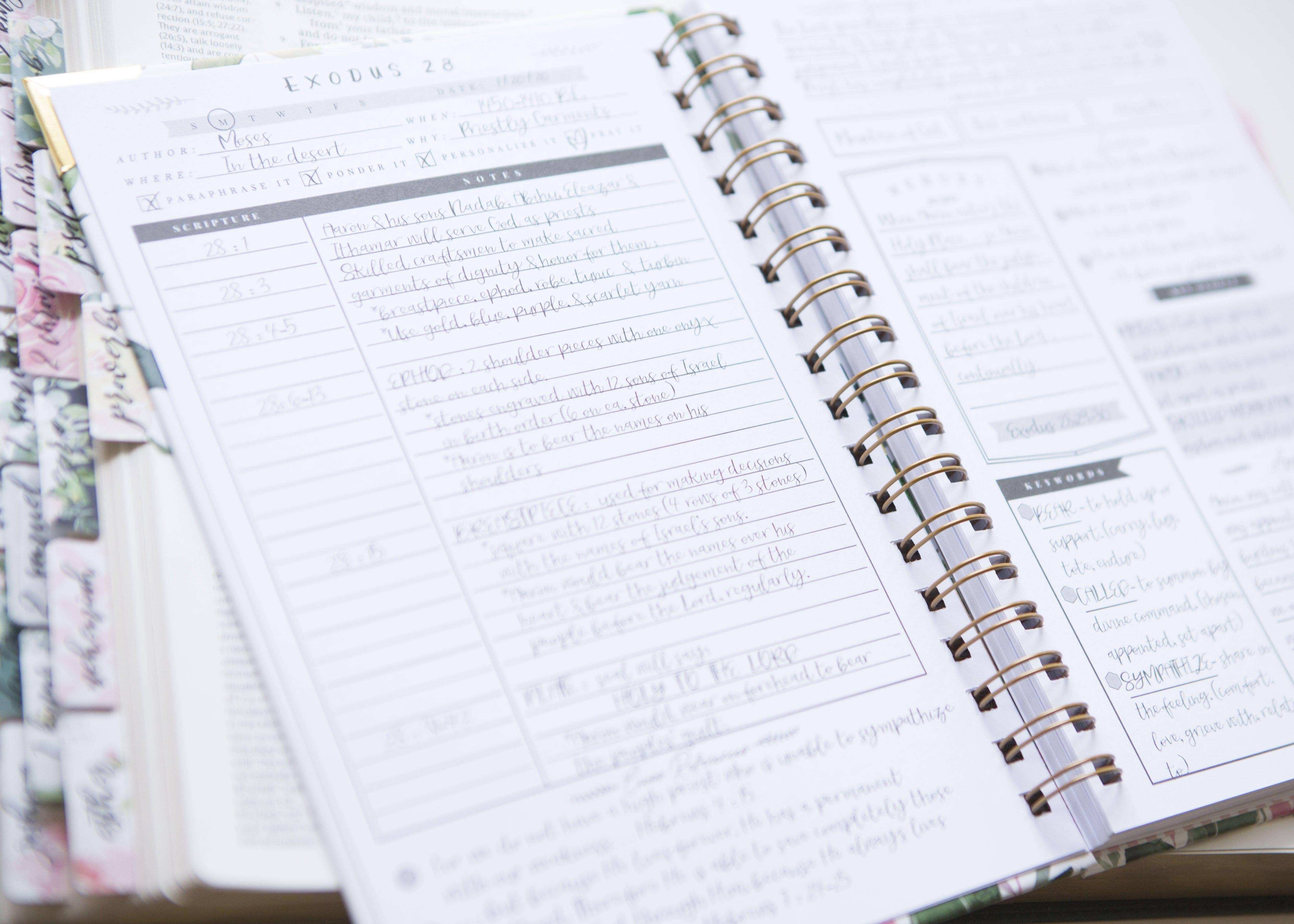 Chosen & Cherished - Wholesale Journal/Diary - Bible Study Journal | Inductive Bible Study7