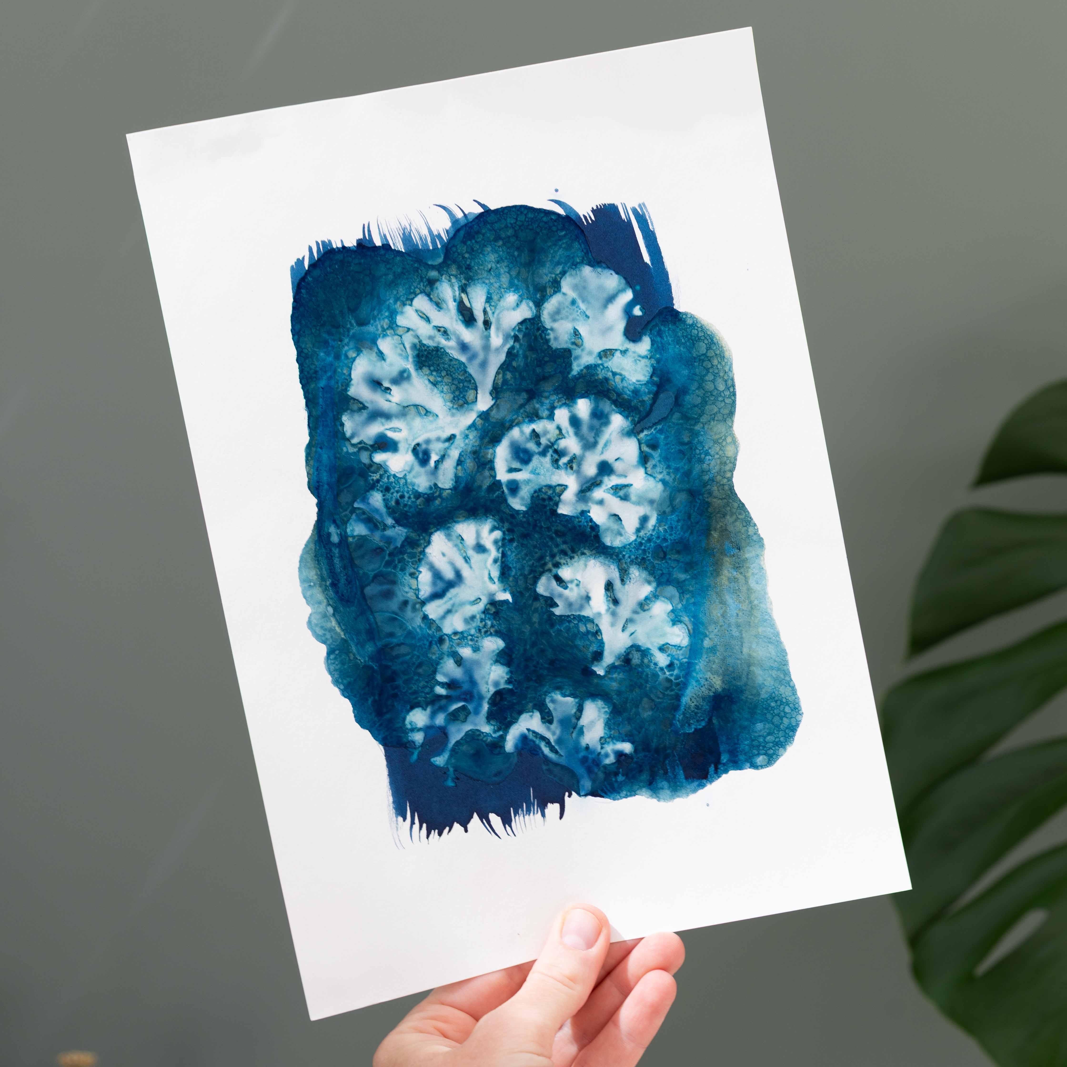 The Wild Darkroom – wholesale DIY craft kit – Cyanotype Printing Paper A48