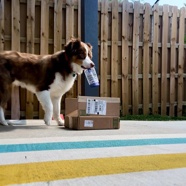 A Bark Above Treats - Wholesale Pet Treats - Dog - Stress & Anxiety Squeeze Pack3