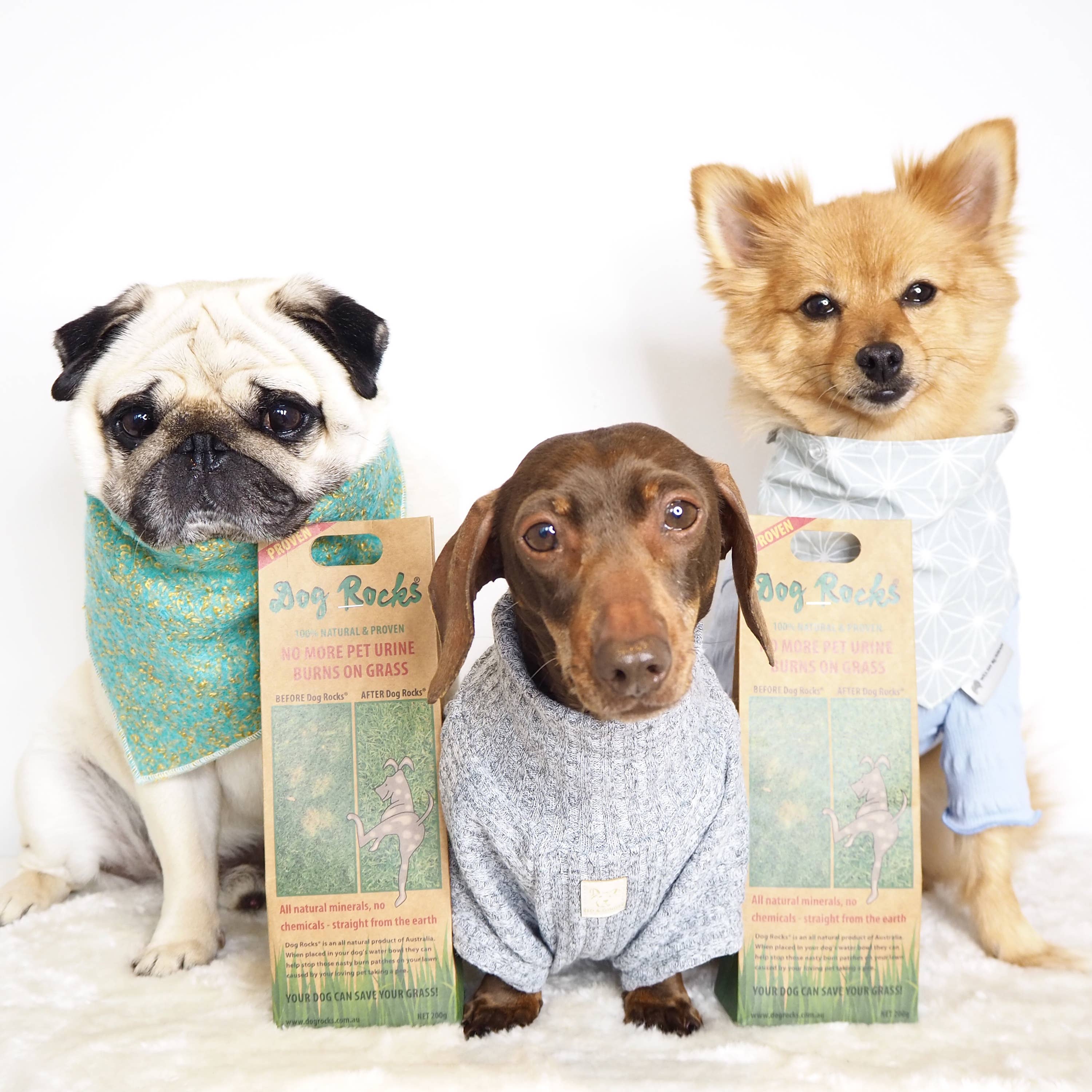 BeLoved, Natural Dog Grooming Products. - Wholesale Pet Supplement - Dog - Dog Rocks - Stop pet urine burns on grass...naturally!8