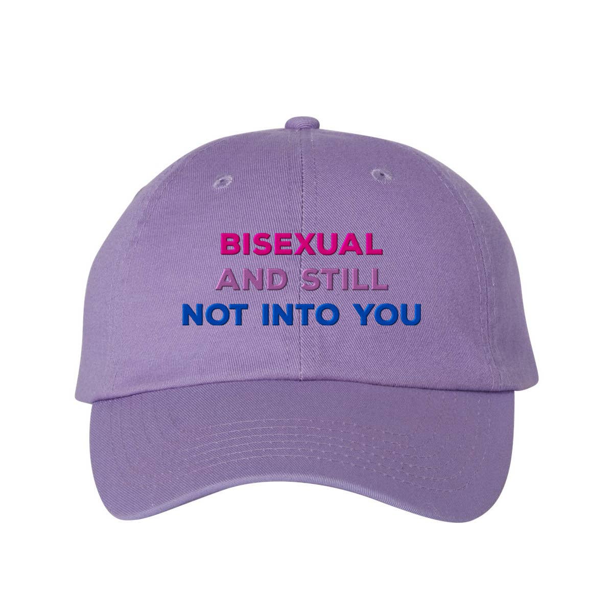 Lucky Luna Apparel - Wholesale Baseball Cap - Women's - Bisexual and Still Not Into You Embroidered Dad Hat7