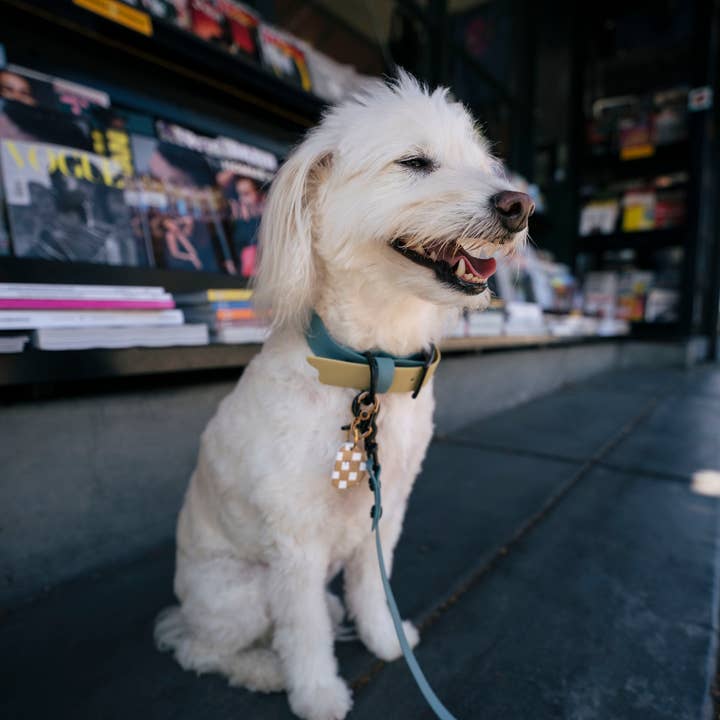 le shoob - Wholesale Pet Leash - Dog - "Oasis" Waterproof Leash