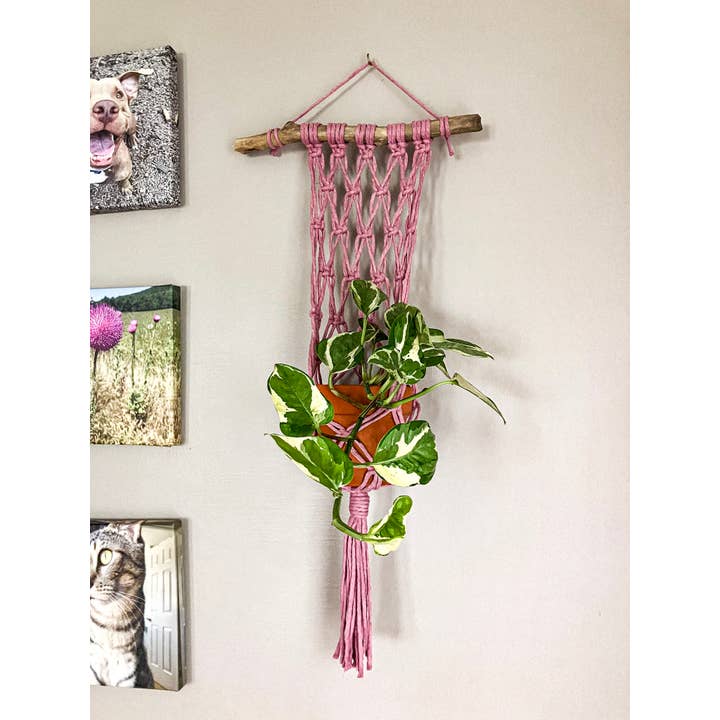 Why Knot - Wholesale Hanging Planter - Wall Plant Hanger - Handmade Macrame Pot Holders