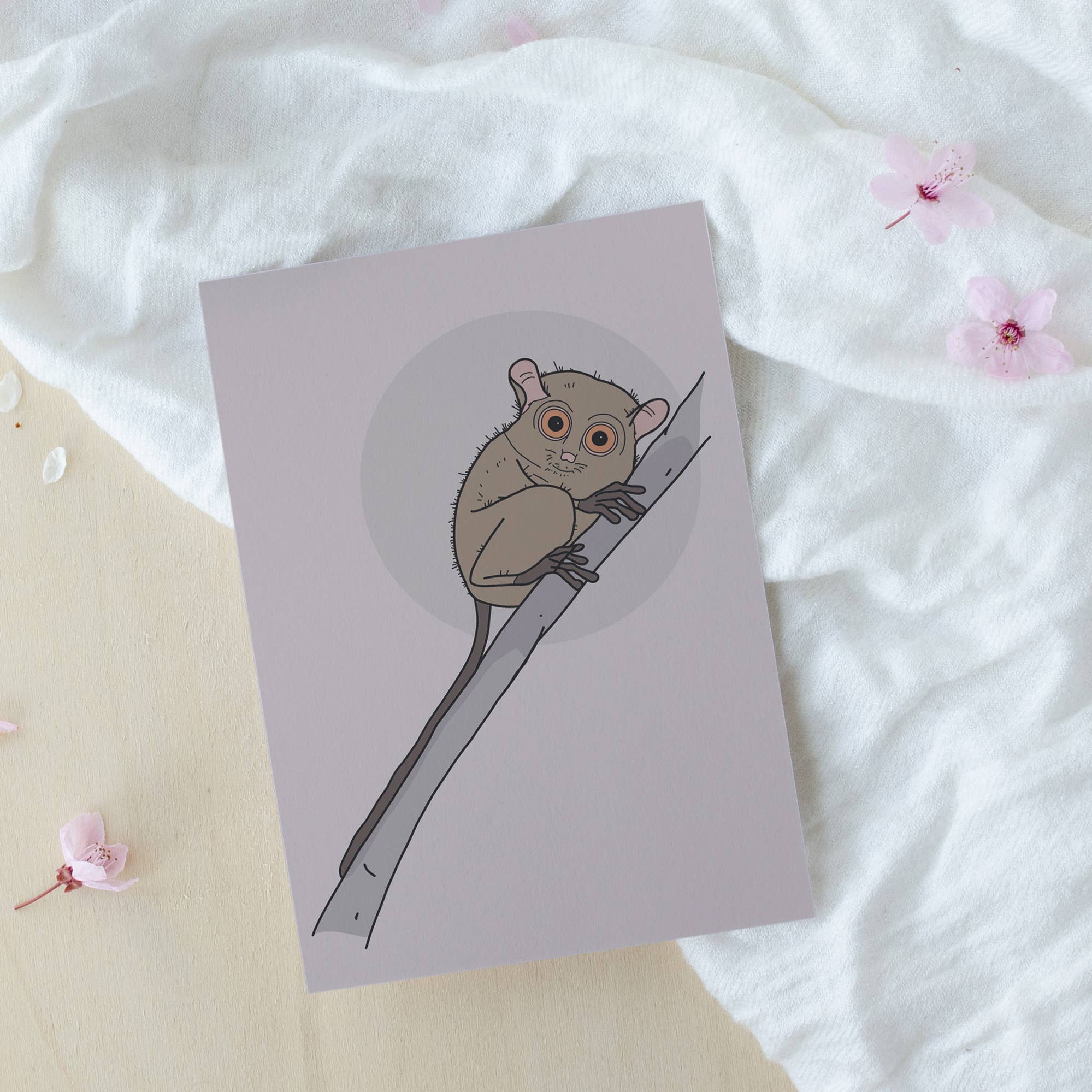 Rotberta - Wholesale Postcard - Koboldmaki postcard1