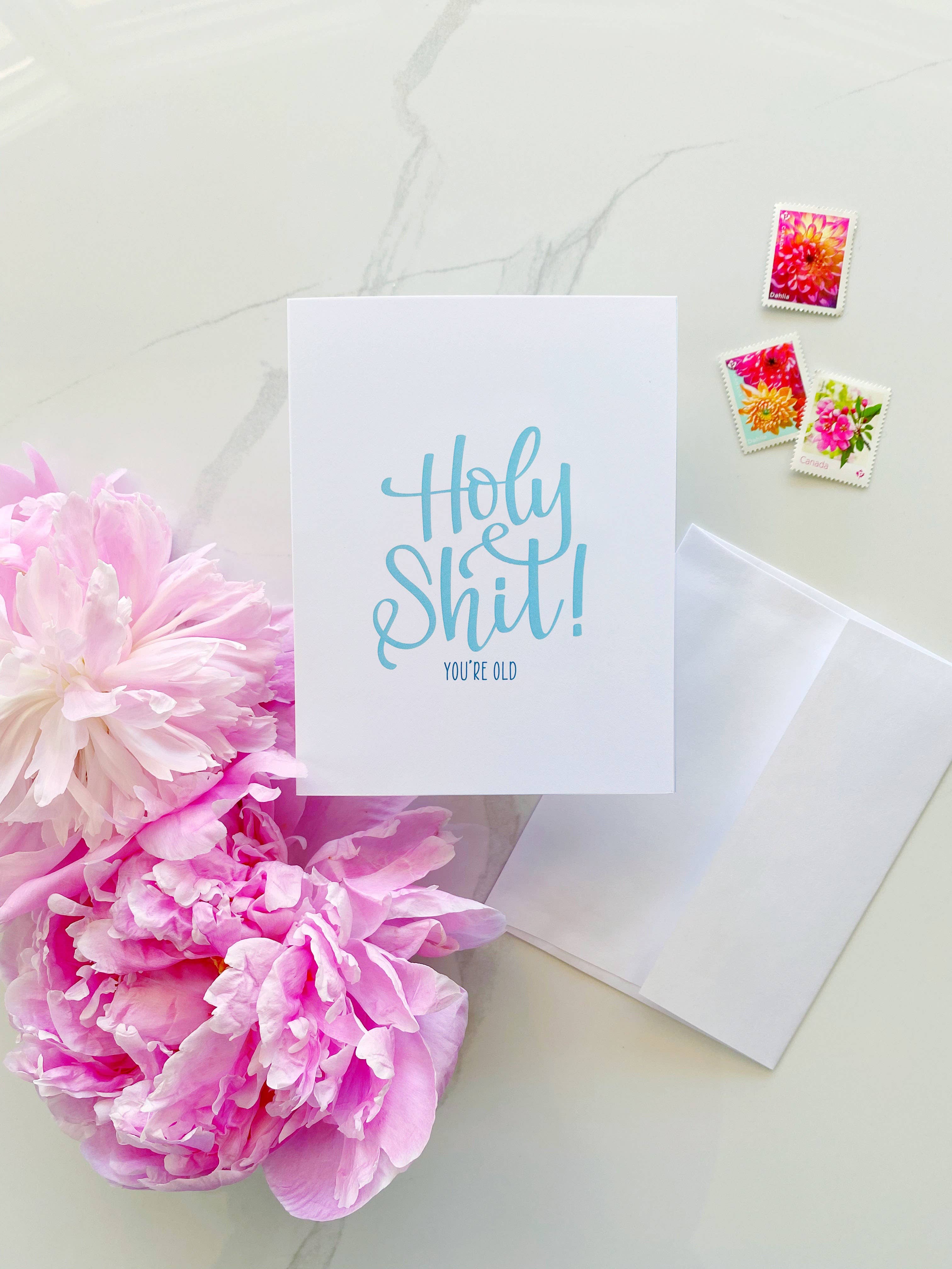 Stevie + Bean Paperie - Wholesale Birthday Card - Holy Shit You’re Old / Card1