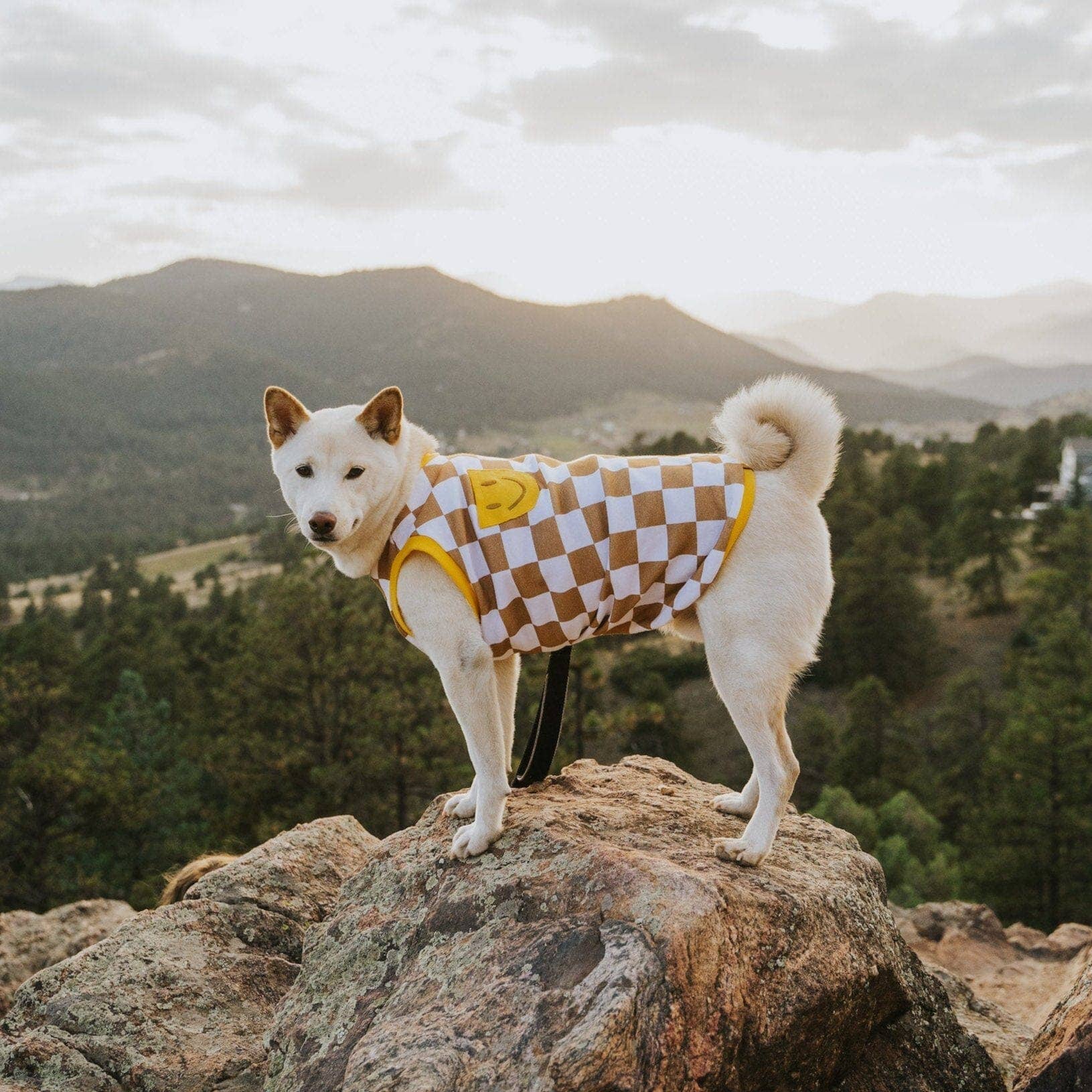 Sunbean - Wholesale Pet Shirt - Dog - Dog Cotton Smiley Tee0