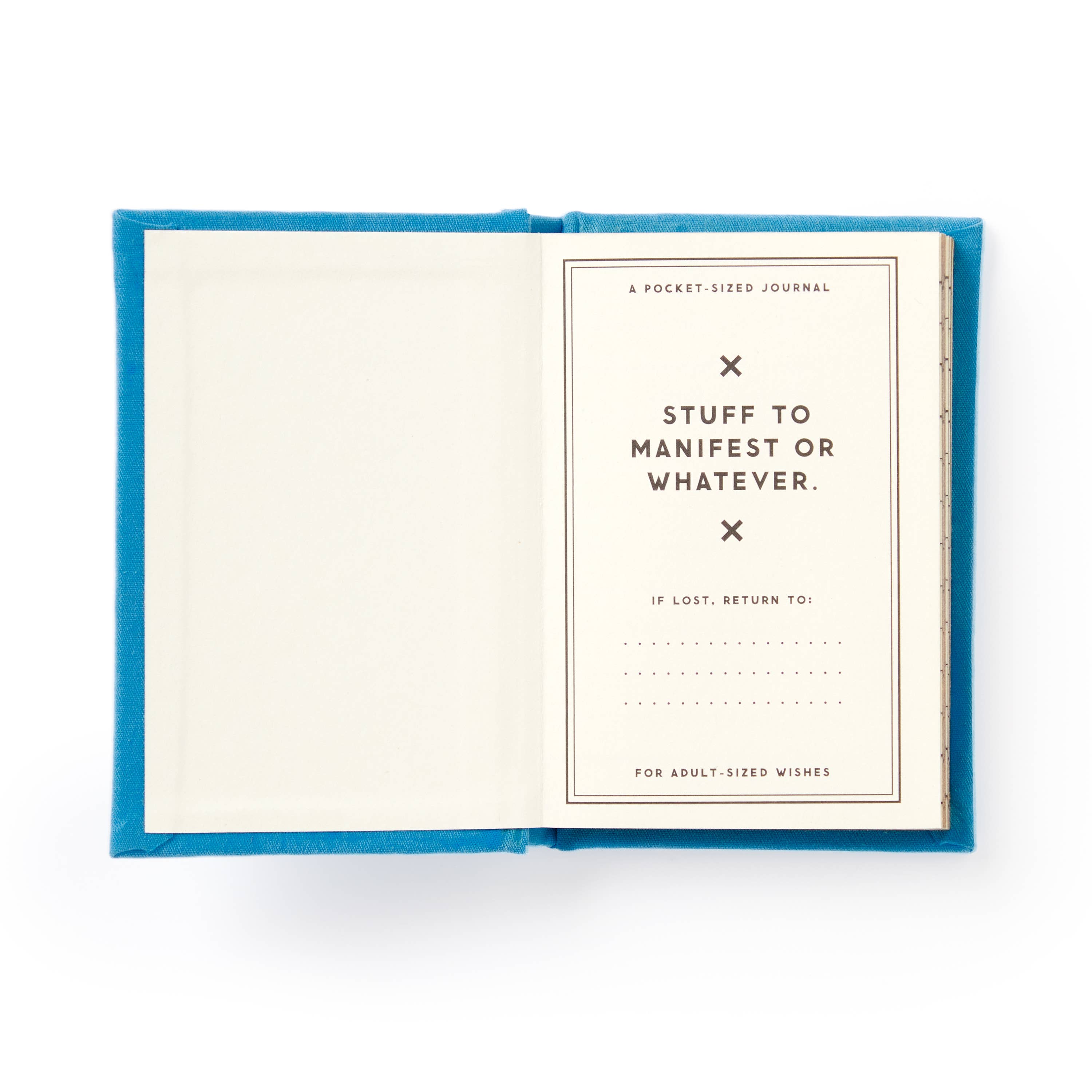 Chronicle Books - Wholesale Journal/Diary - Brass Monkey Tiny Hopes And Dreams Tiny Diary2