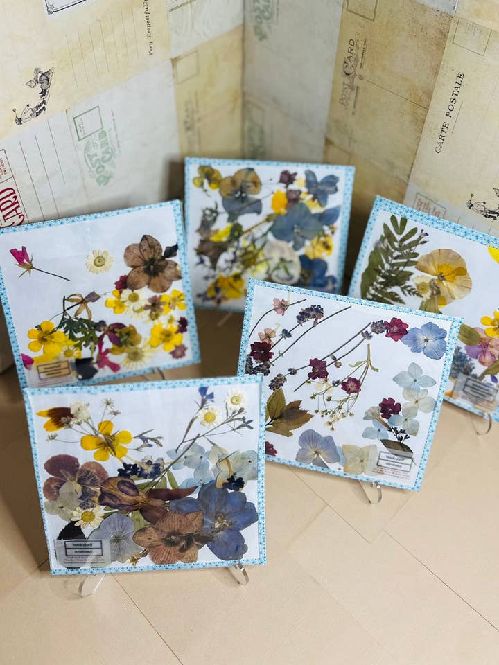 Dried Pressed Flower Packet, 50 pieces for wholesale by Bookshelf Anatomy, LLC