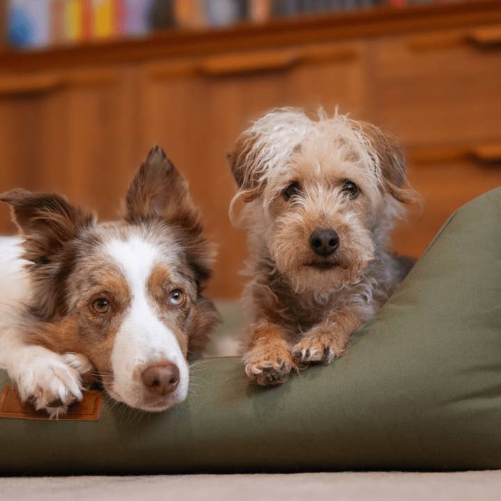 Ralph & Co - Wholesale Pet Bed - Dog - Waterproof & Memory Foam Dog Bed With Removable Covers | Henley1