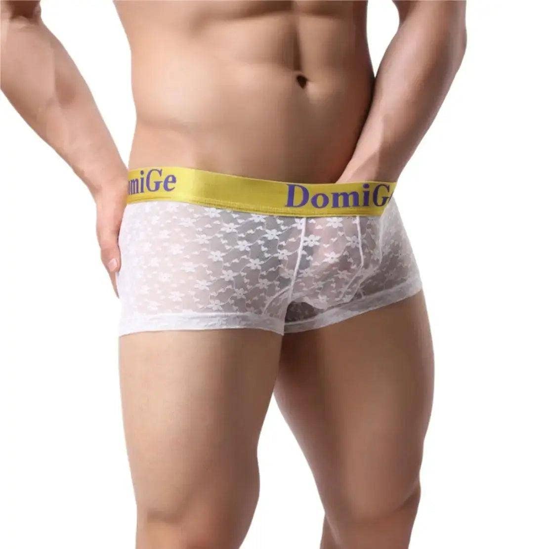 DomiGe – Großhandel Unterwäsche – Herren – Herrenhose aus transparentem Netzstoff mit stilvollem Logo-Bund — ultimativer Komfort und verführerische Herrenunterwäsche5