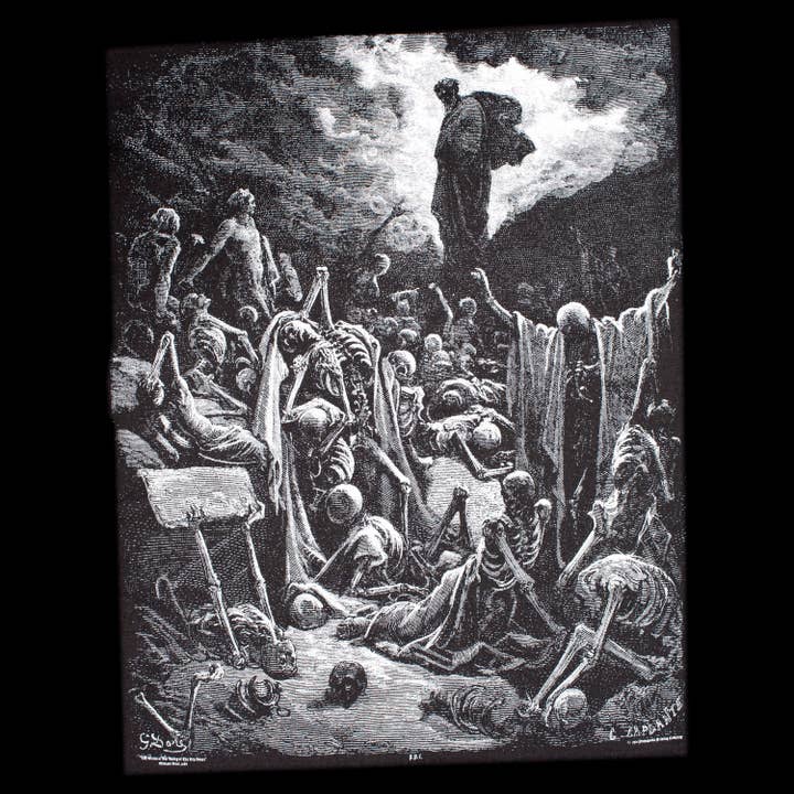 Propaganda Printing Company - Wholesale Screen Printed T-Shirt - Unisex - Gustave Dore, "The Vision of the Valley of the Dry Bones"